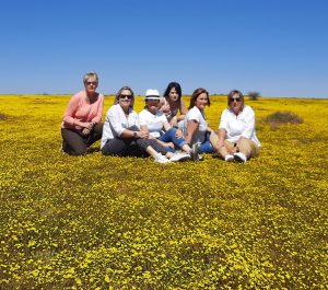 WhatsApp Image 2026-03-16 at 08.42.09